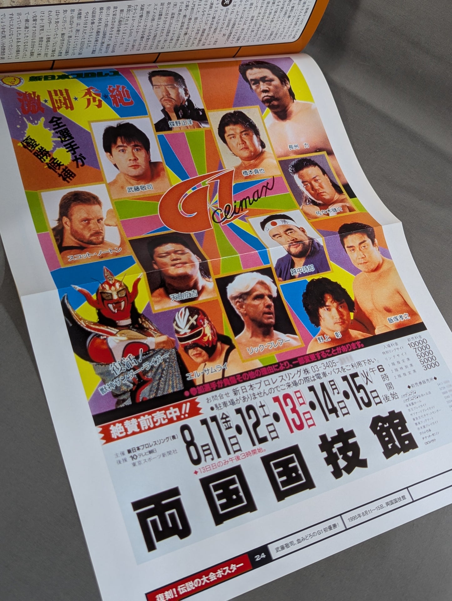 燃えろ!新日本プロレス vol.24