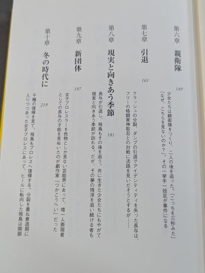 1985年のクラッシュ・ギャルズ