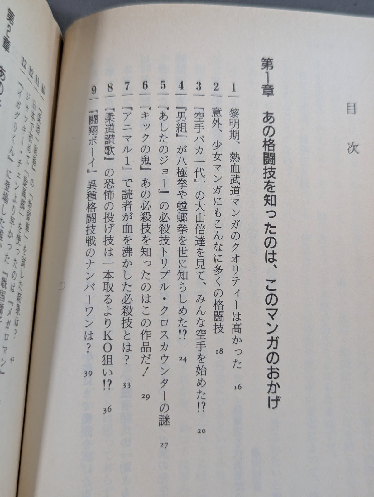 Martial Arts Manga, Anime, Games, Novels - 99 Mysteries