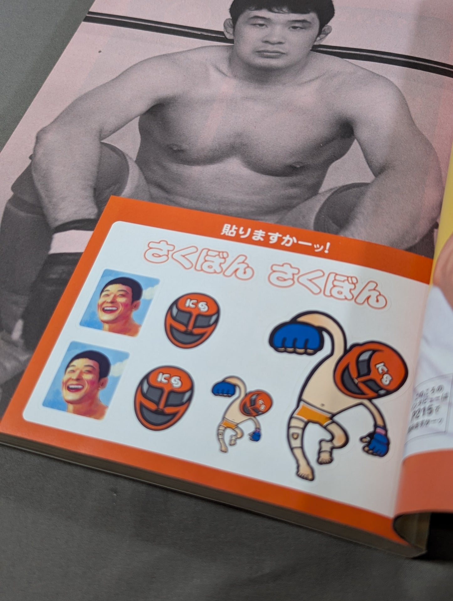Sakurabon Kazushi Sakuraba Official Magazine
