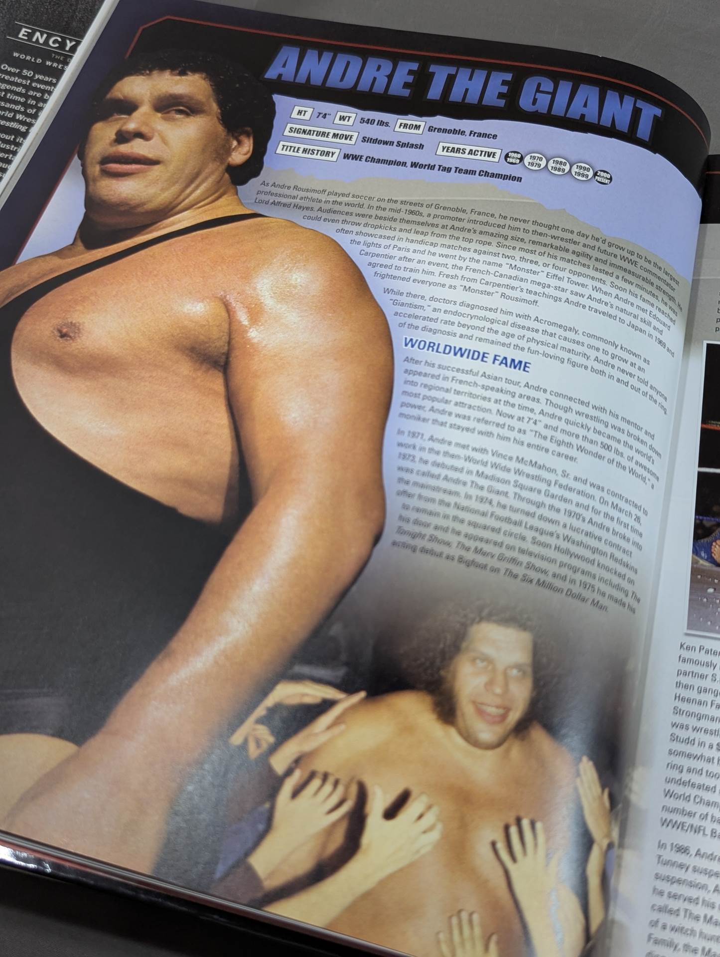 WWE ENCYCLOPEDIA : THE DEFINITIVE GUIDE TO WORLD Wrestling  ENTERTAINMENT