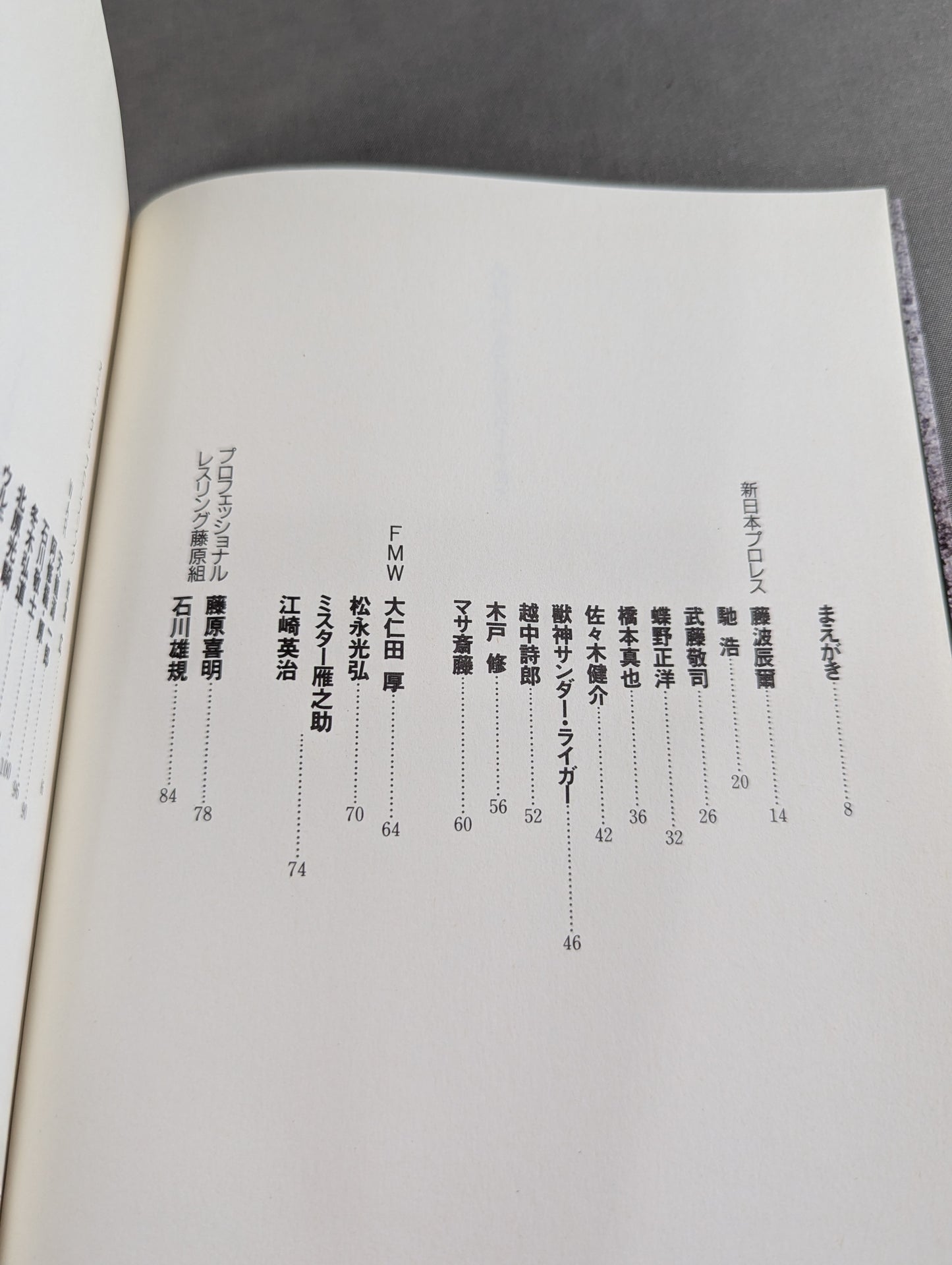 The heart is always a pro wrestler All-Star Interview Collection