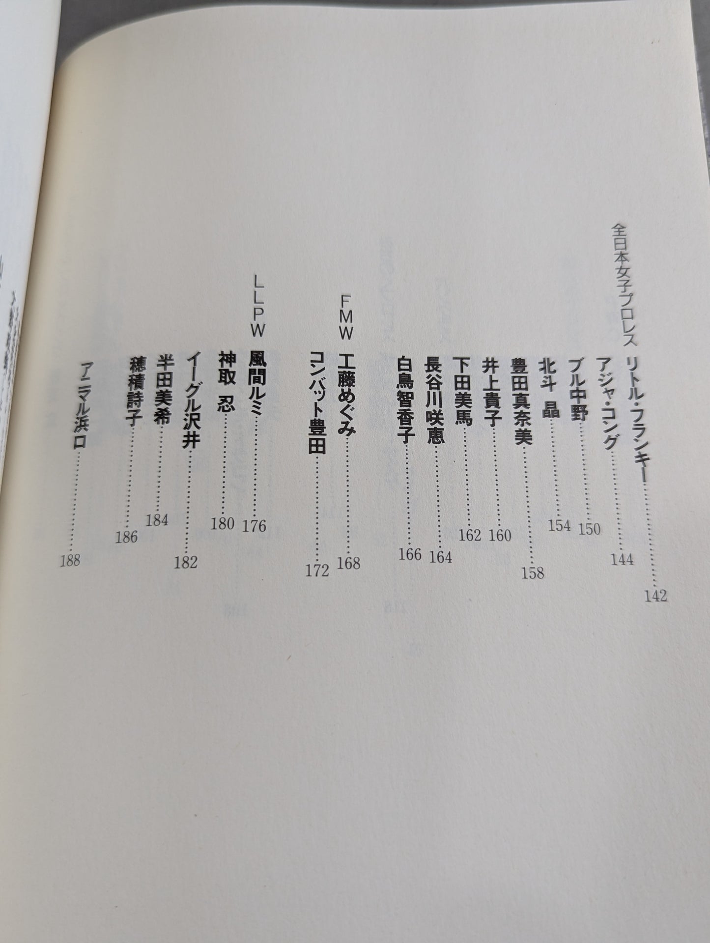 The heart is always a pro wrestler All-Star Interview Collection