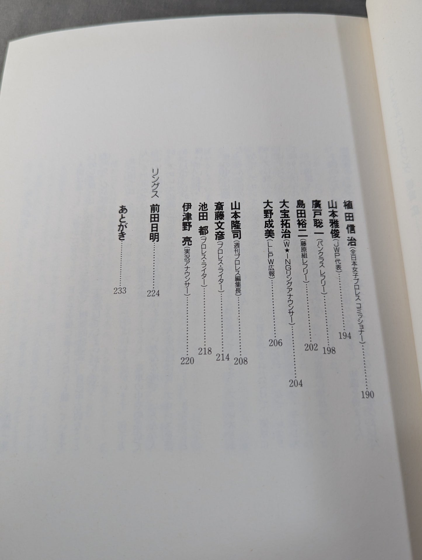 The heart is always a pro wrestler All-Star Interview Collection