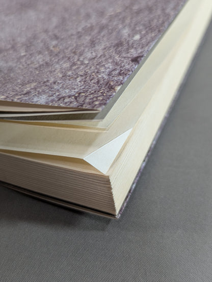 The heart is always a pro wrestler All-Star Interview Collection