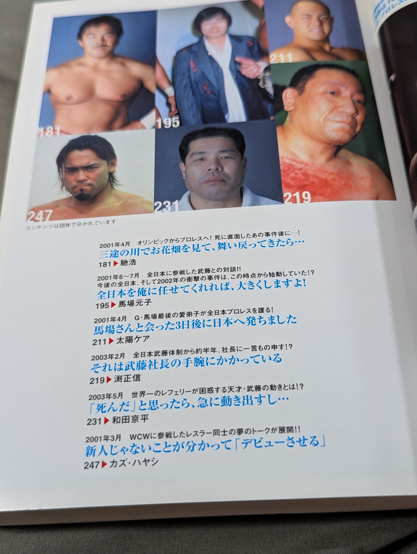 武藤敬司 プロレスの砦