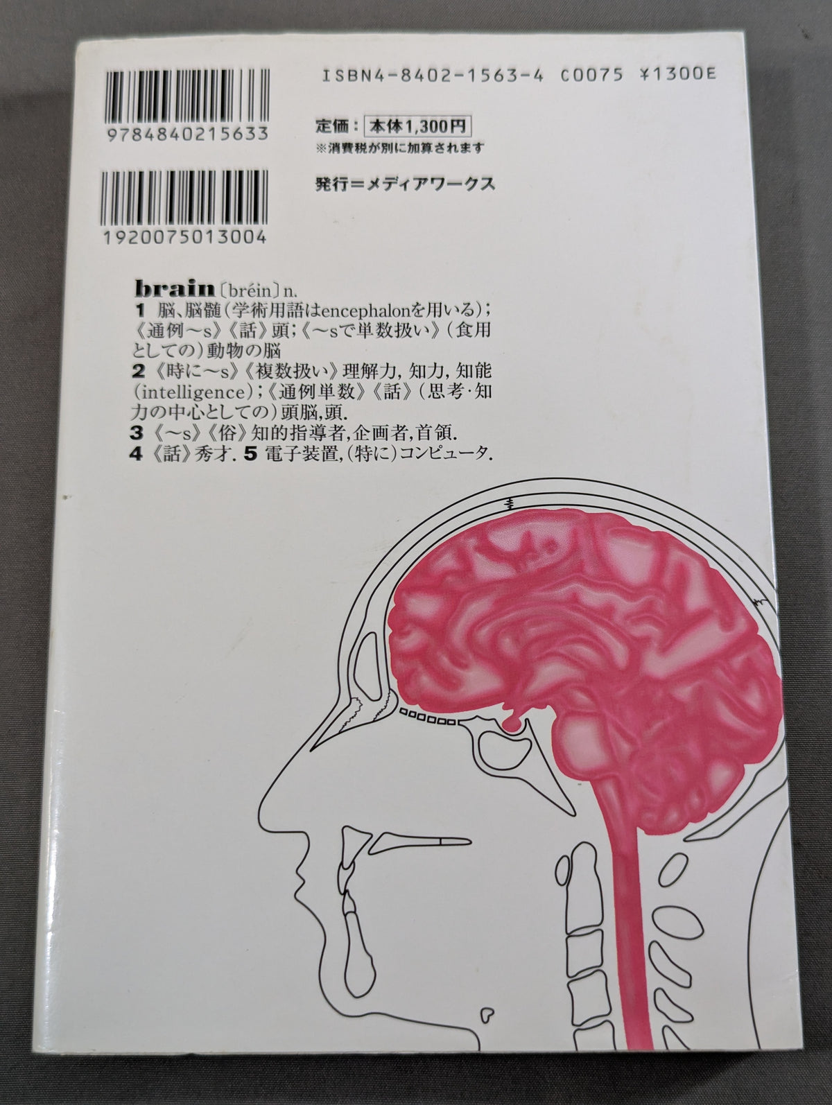 BRAIN 船木誠勝