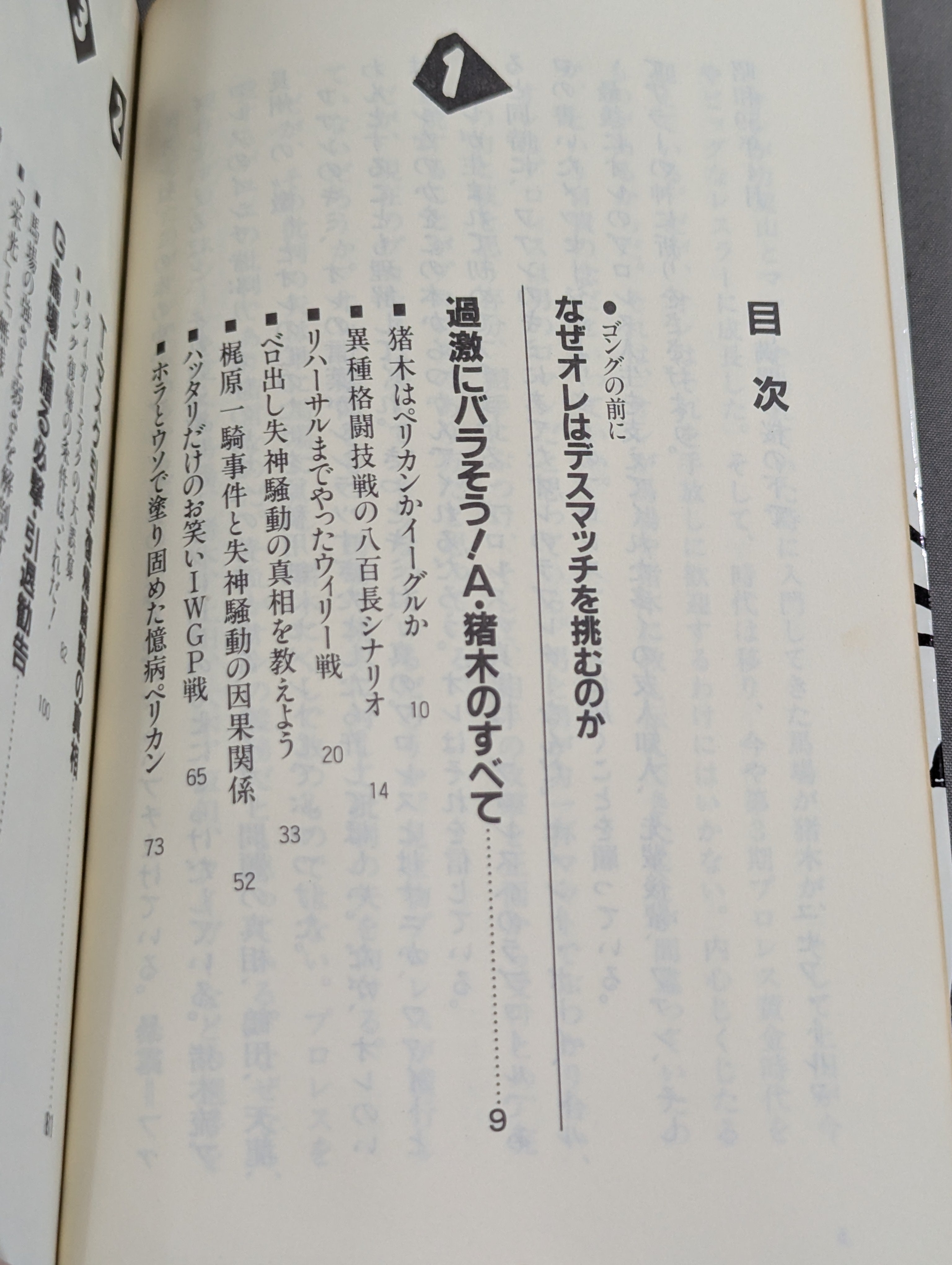 こんなプロレス知ってるかい – 闘道館