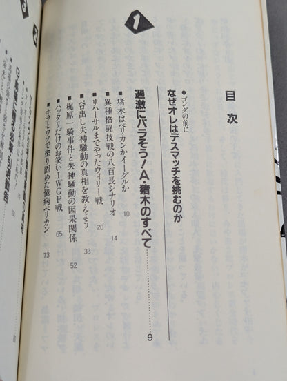 こんなプロレス知ってるかい