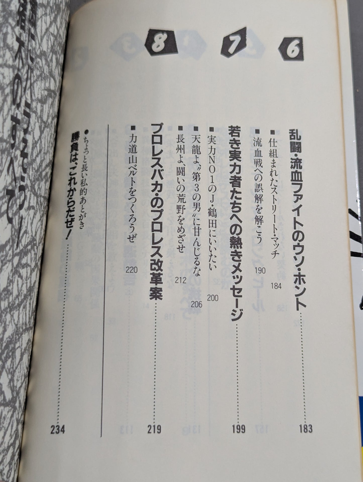 こんなプロレス知ってるかい