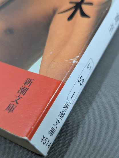 Antonio Inoki  Autobiography