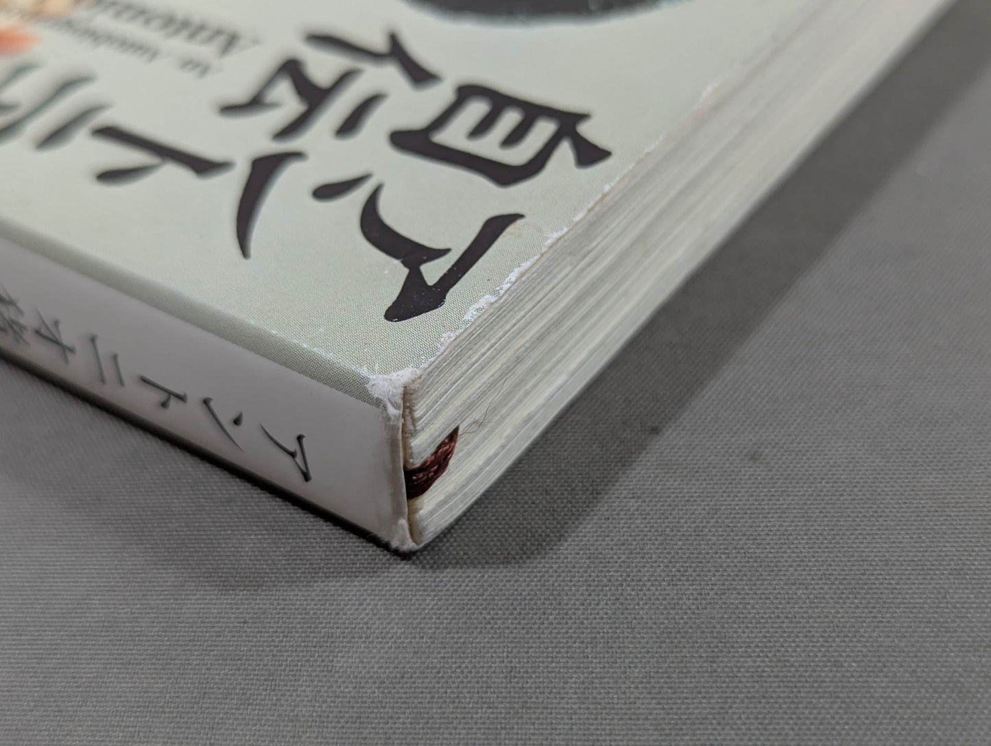 Antonio Inoki  Autobiography