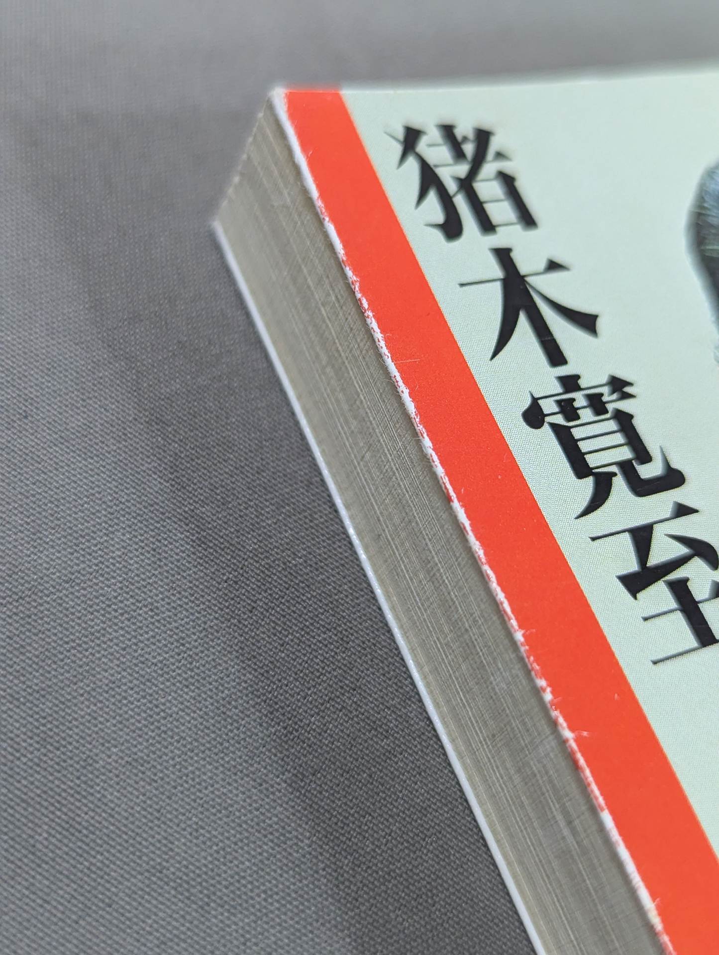 Antonio Inoki  Autobiography