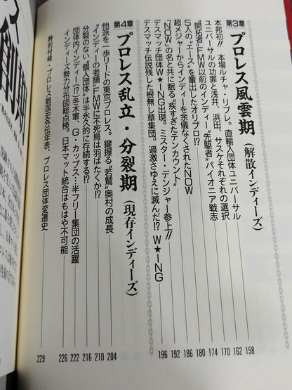 プロレス戦国史 仁義なき戦い