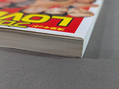 プロレスLOVE論