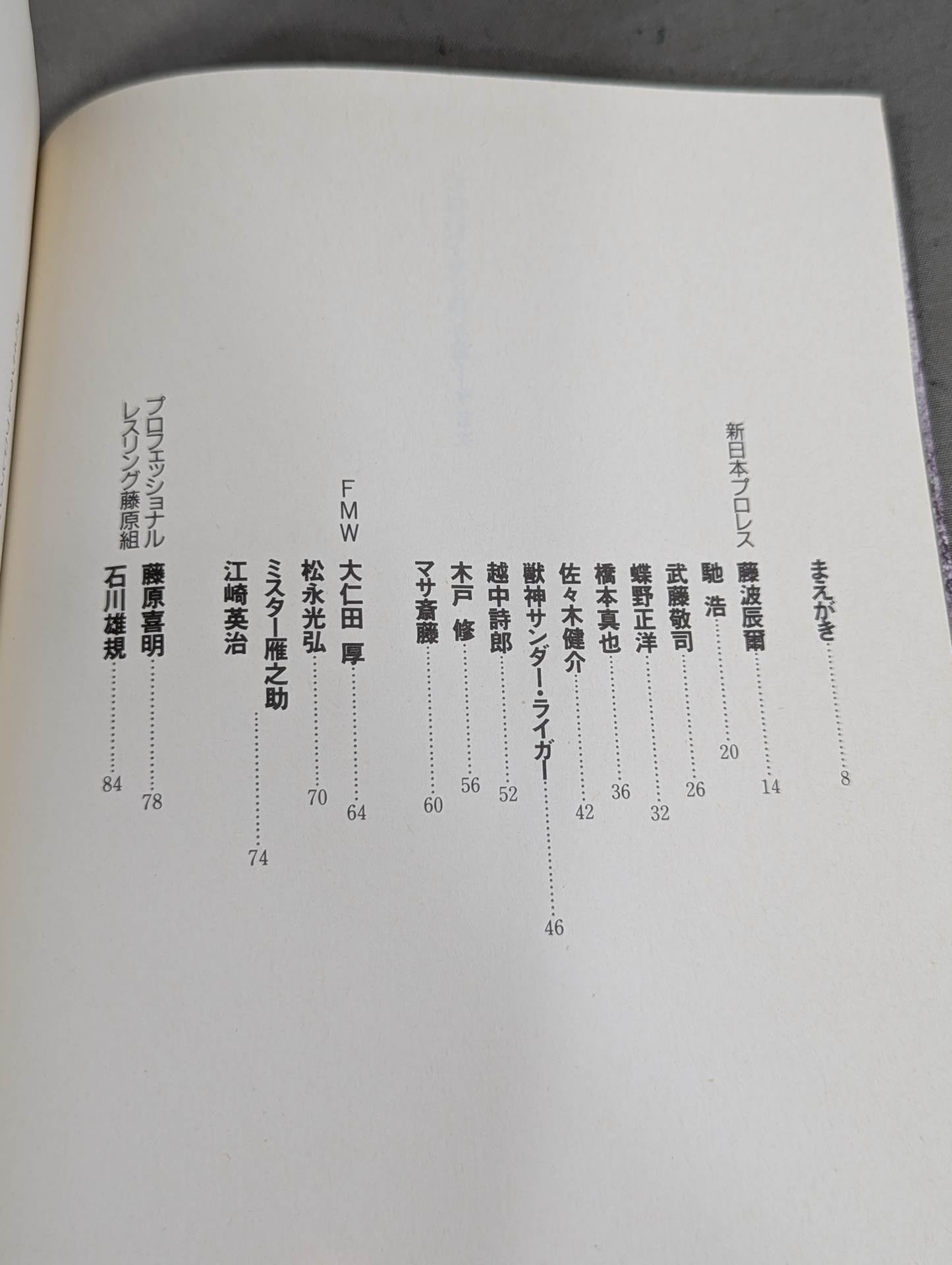 The heart is always a pro wrestler All-Star Interview Collection