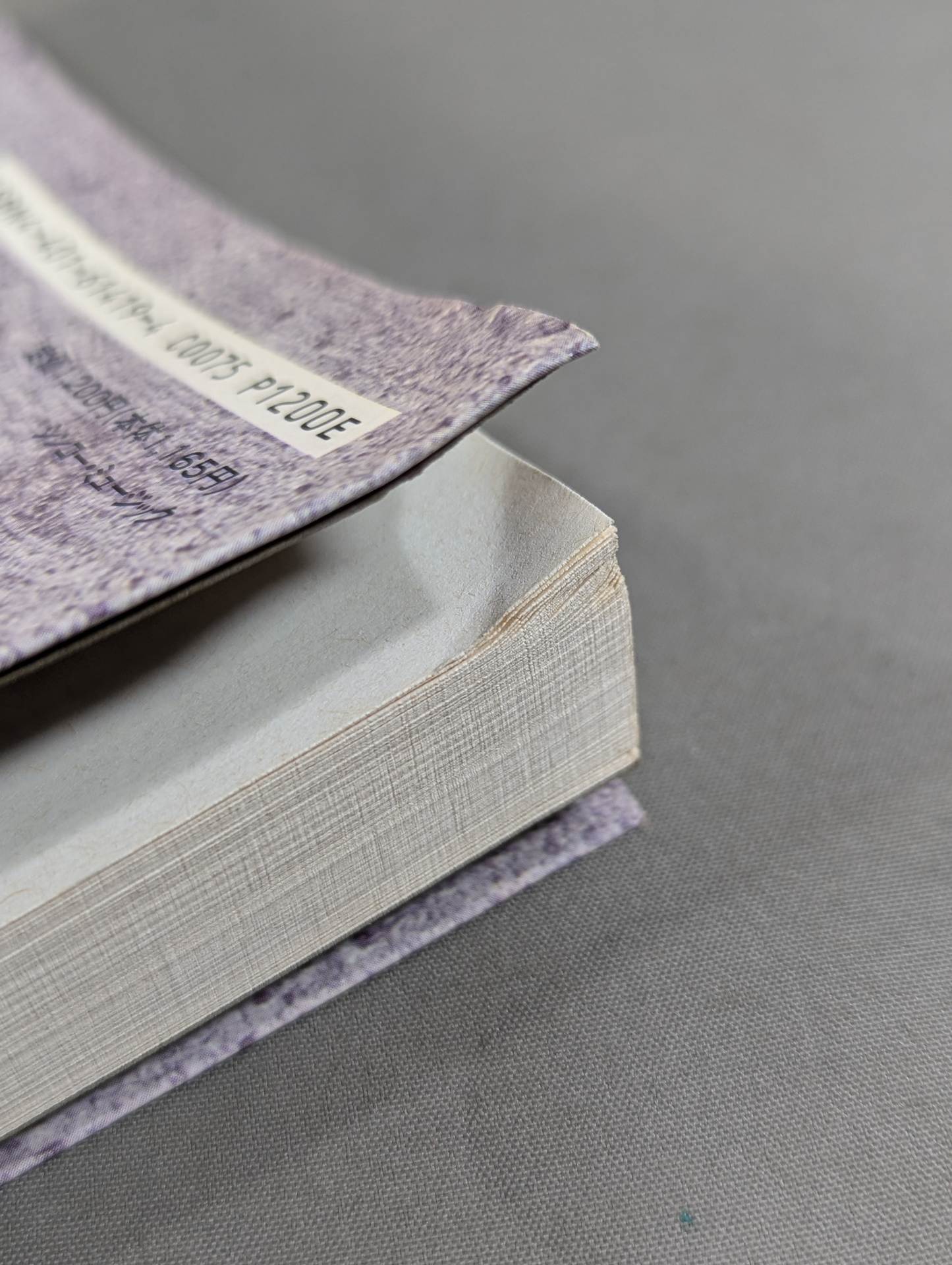 The heart is always a pro wrestler All-Star Interview Collection