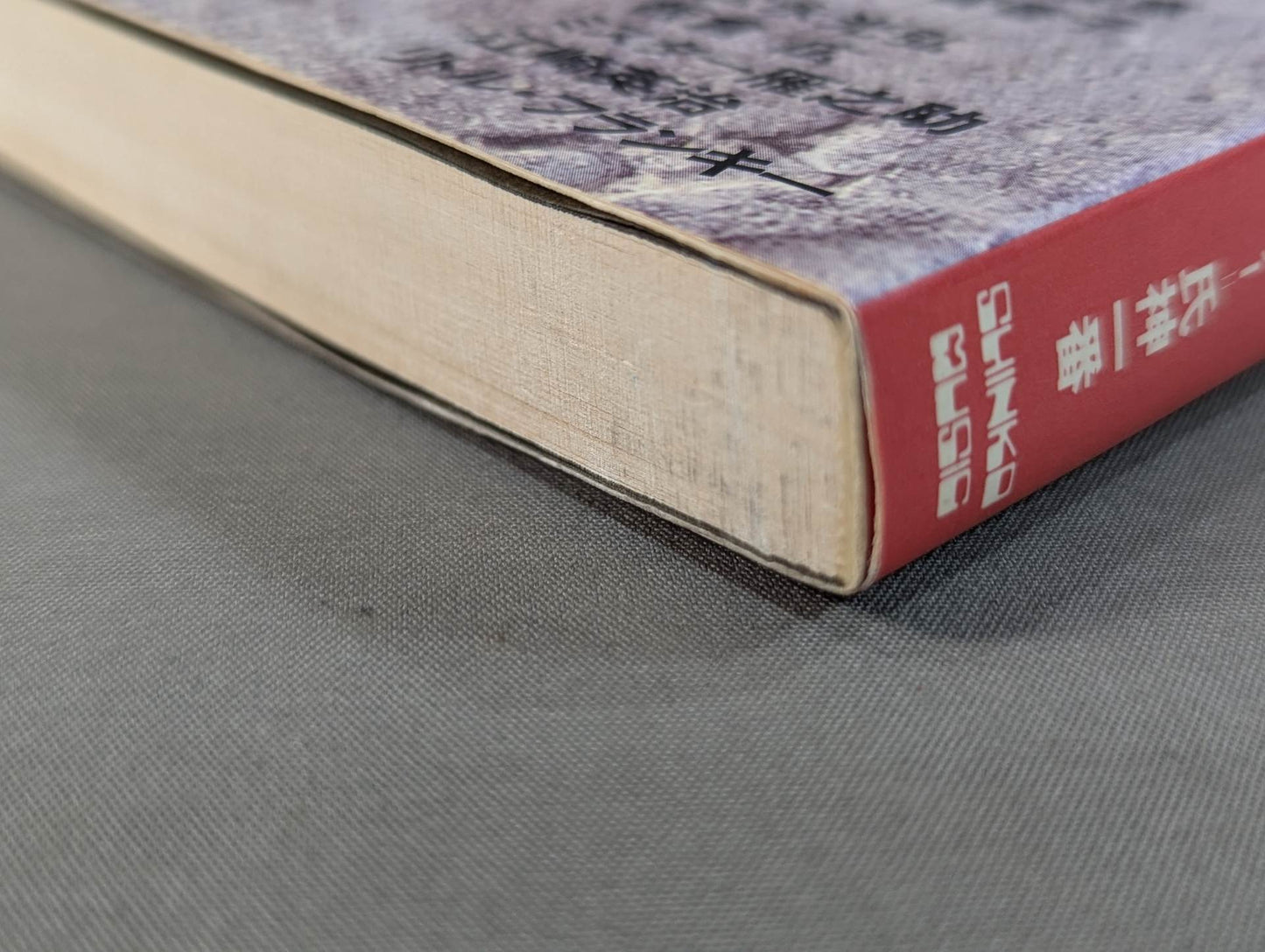 The heart is always a pro wrestler All-Star Interview Collection