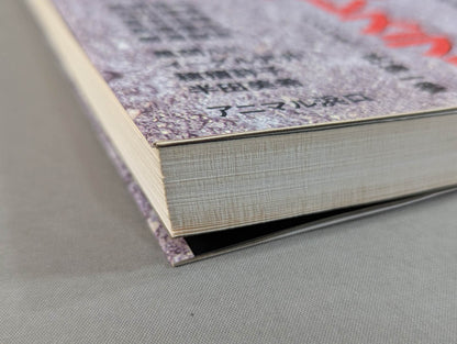 The heart is always a pro wrestler All-Star Interview Collection