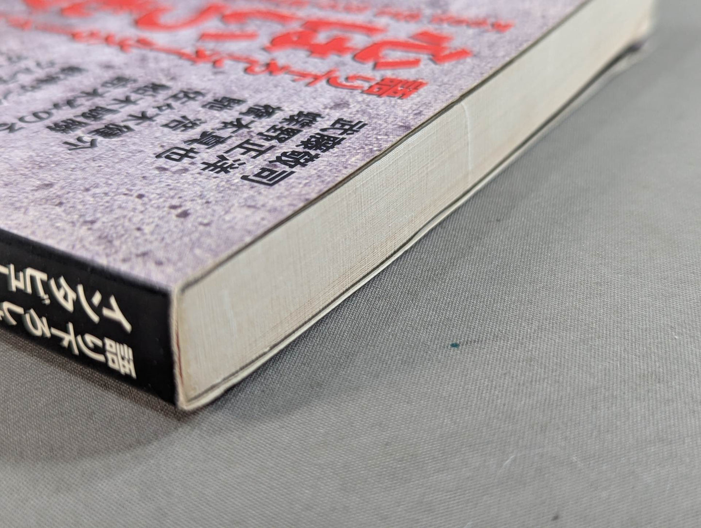 The heart is always a pro wrestler All-Star Interview Collection