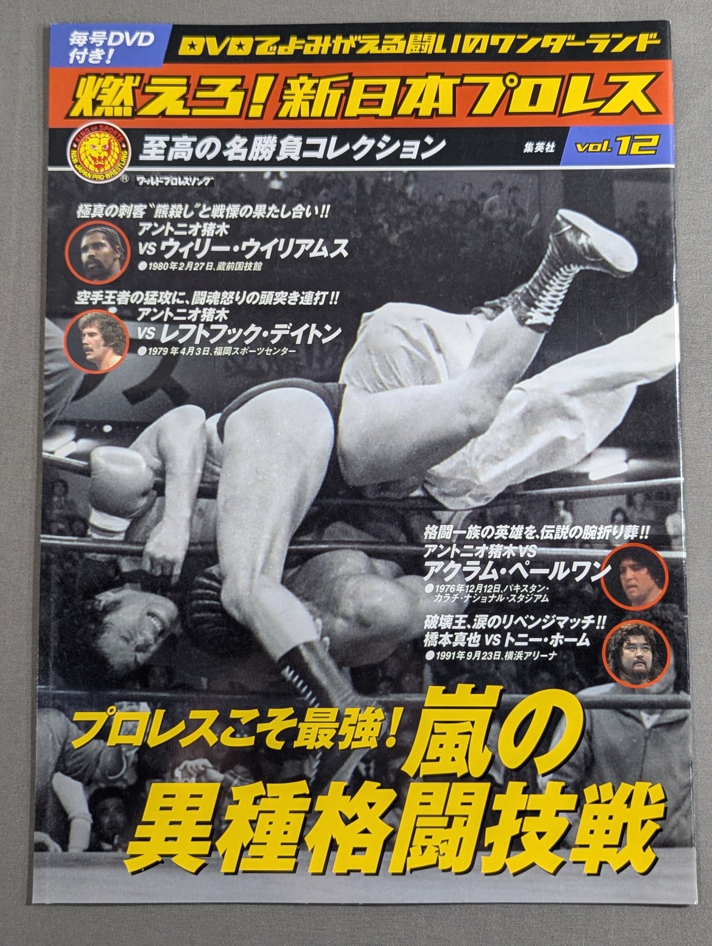 燃えろ!新日本プロレス vol.12