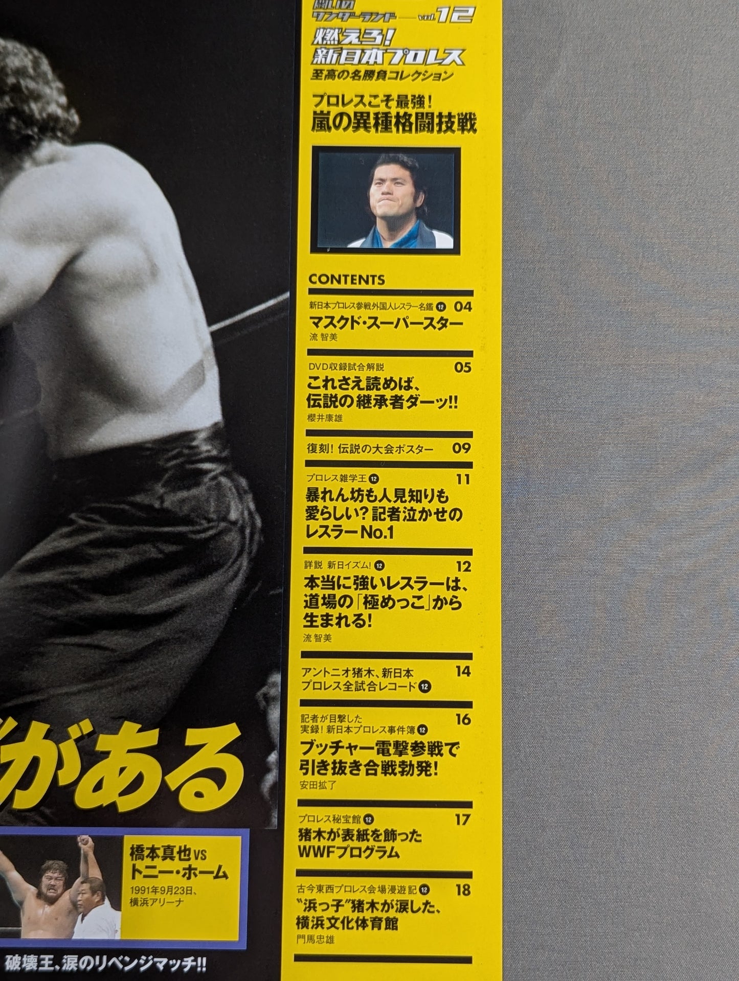 燃えろ!新日本プロレス vol.12