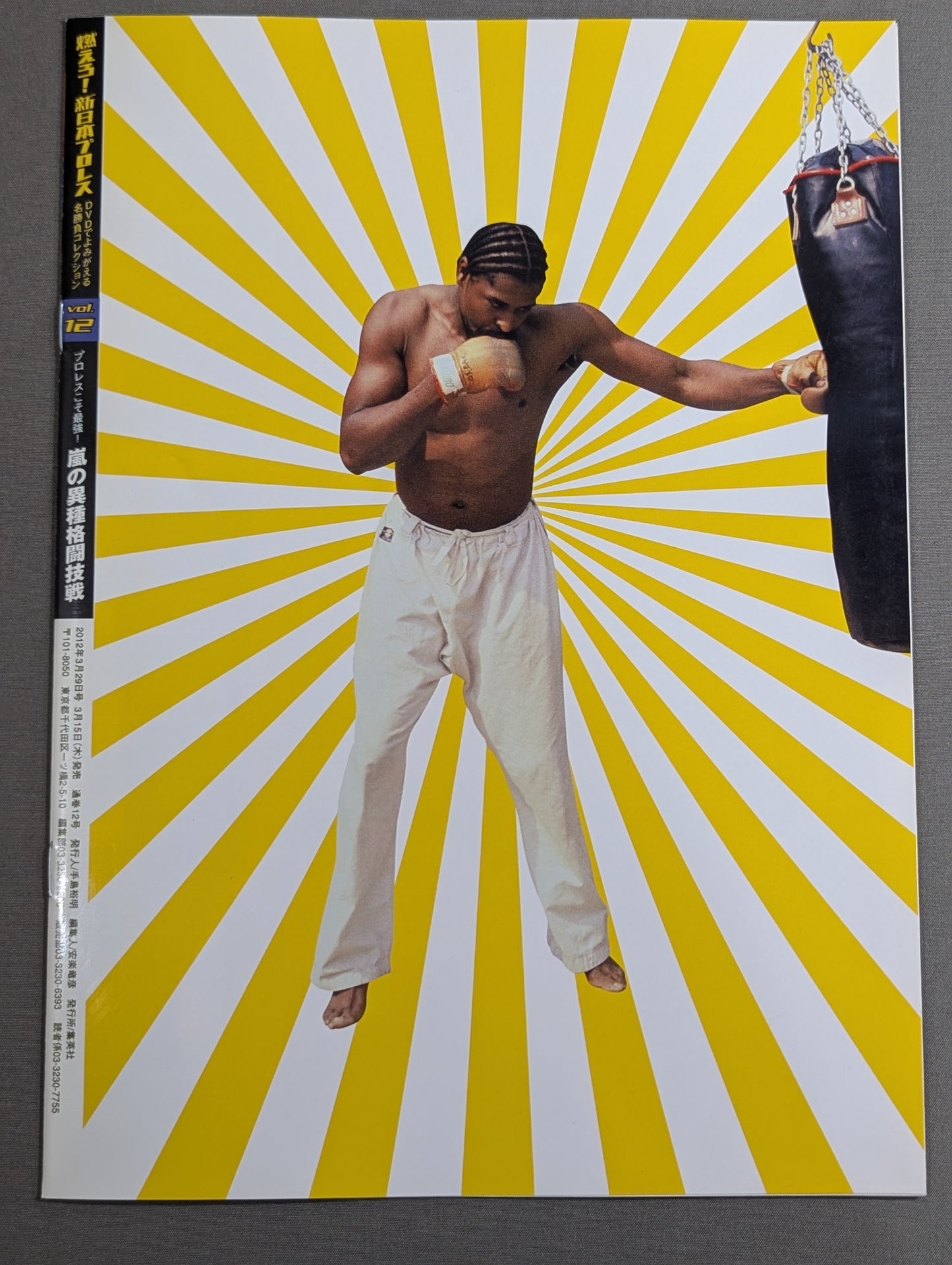 燃えろ!新日本プロレス vol.12