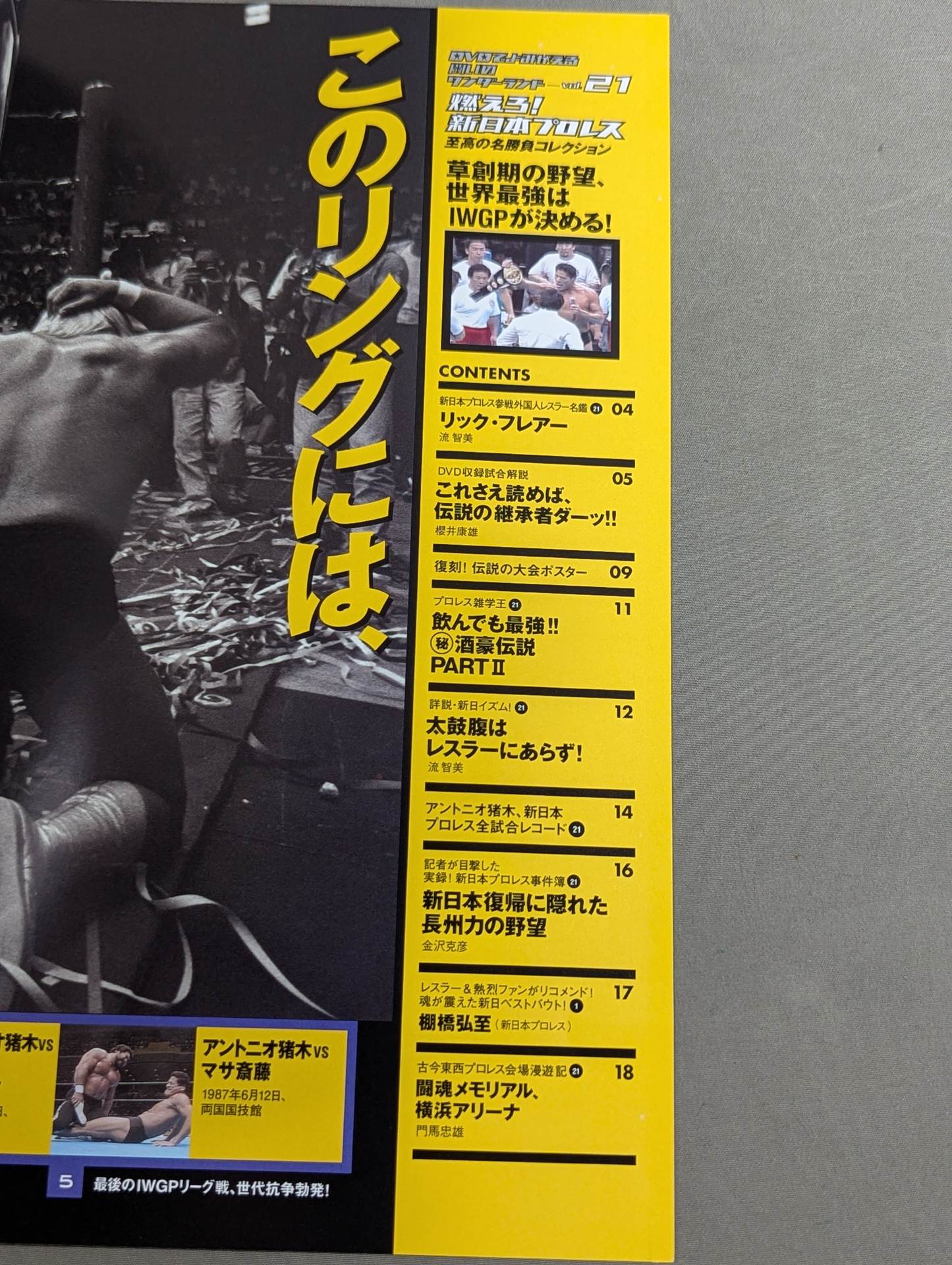 燃えろ!新日本プロレス vol.21 – 闘道館