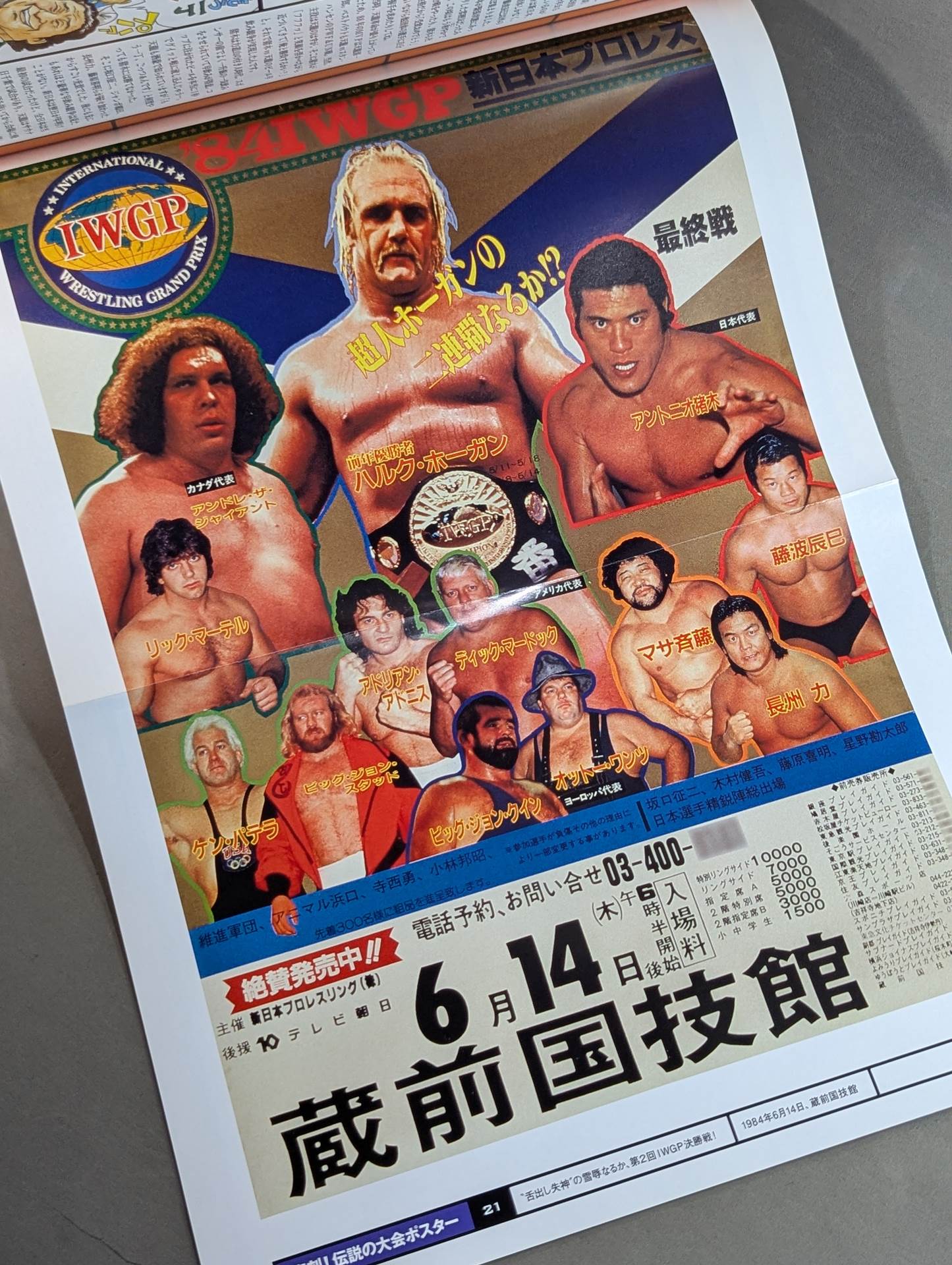 燃えろ!新日本プロレス vol.21