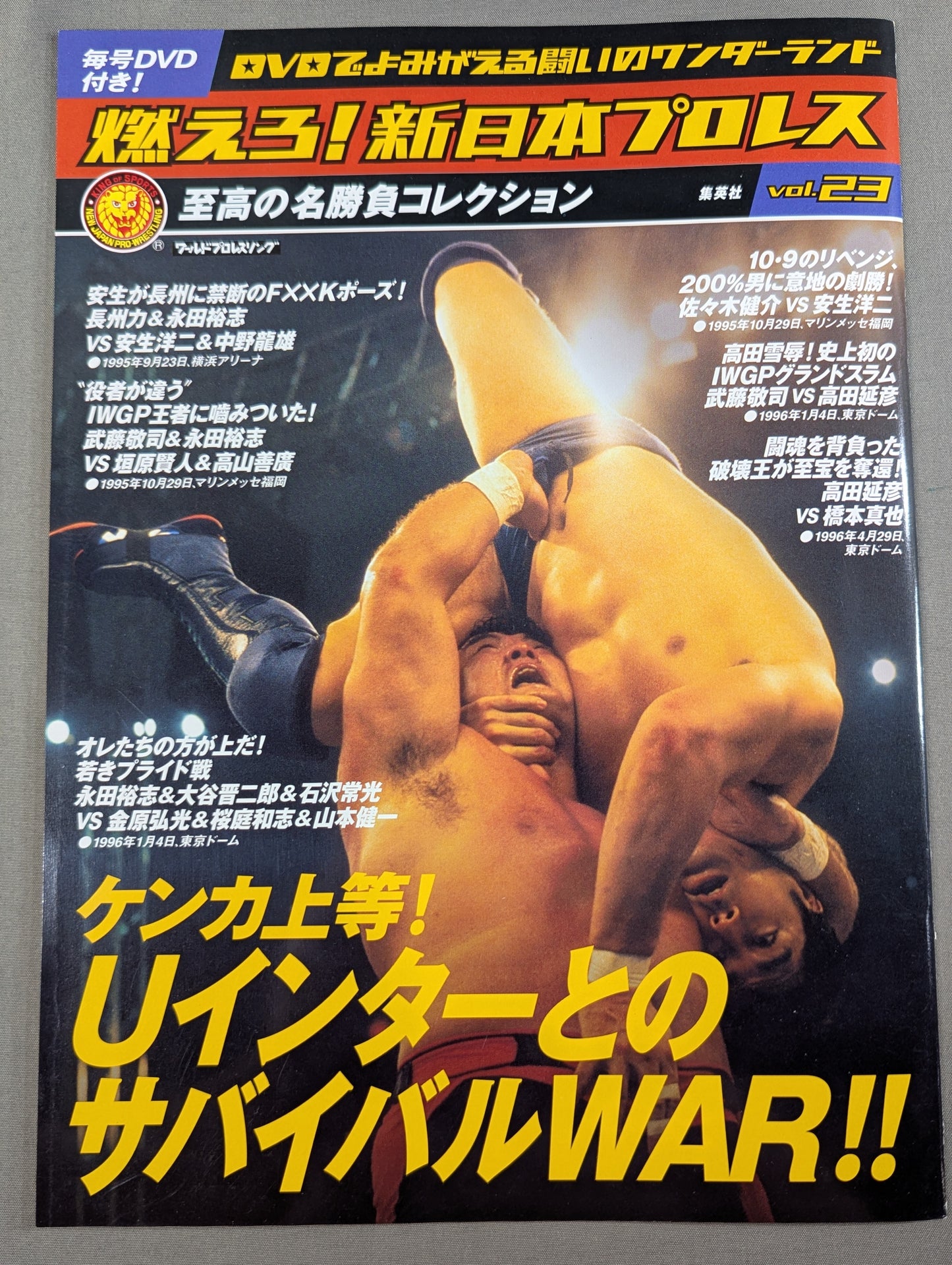 Burn! New Japan Pro Wrestling vol.23