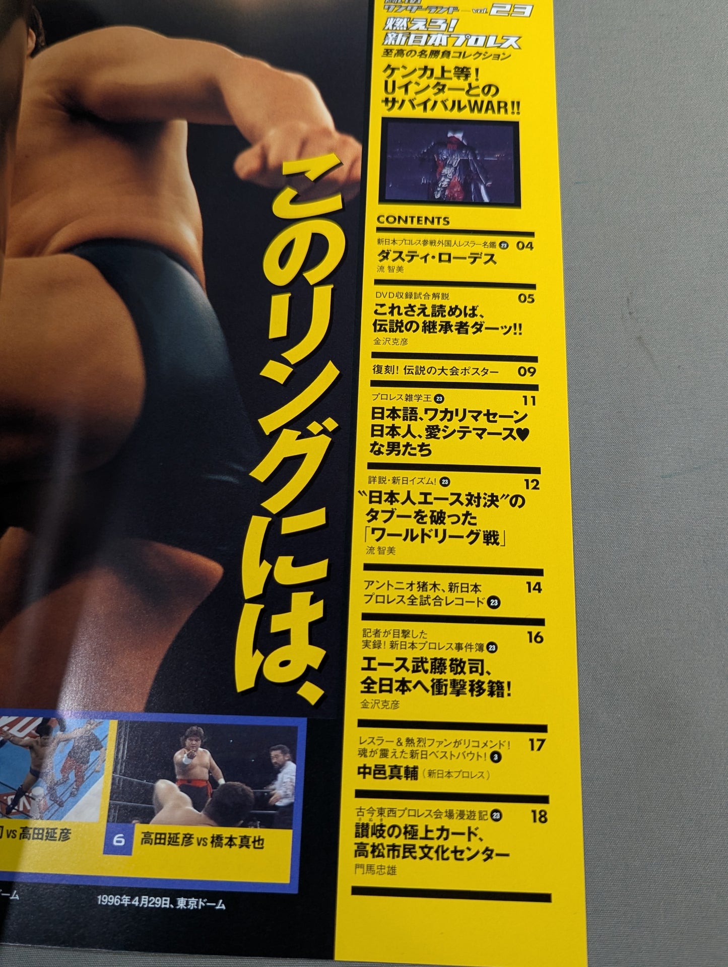 Burn! New Japan Pro Wrestling vol.23
