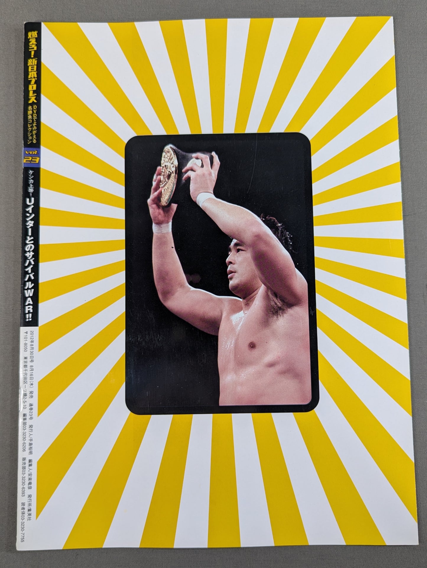 Burn! New Japan Pro Wrestling vol.23