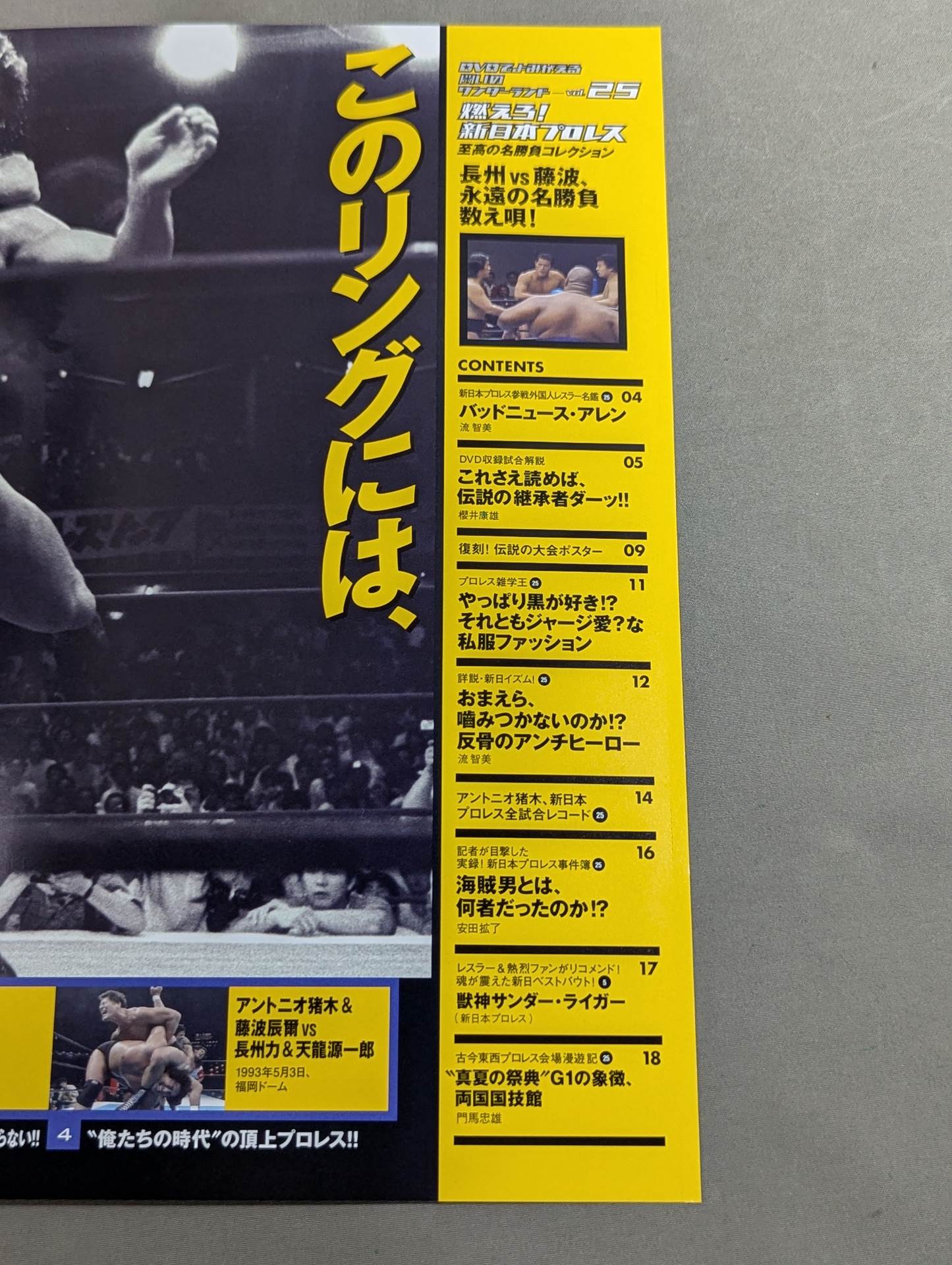燃えろ!新日本プロレス vol.25 – 闘道館