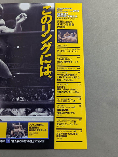 燃えろ!新日本プロレス vol.25