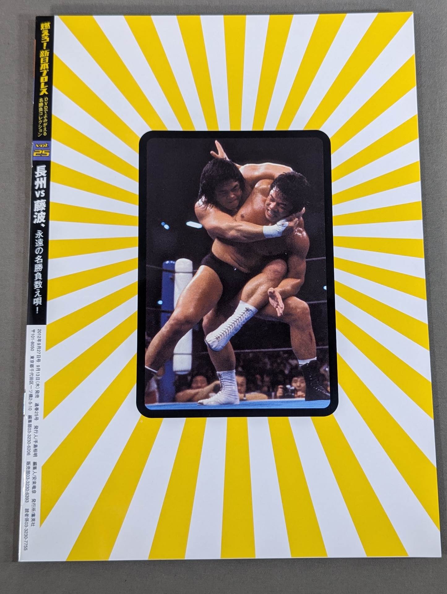 燃えろ!新日本プロレス vol.25