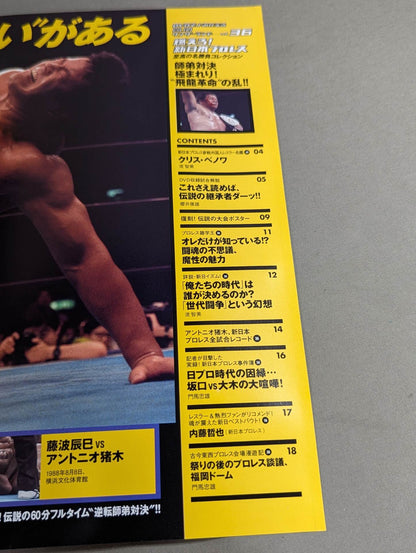 Burn! New Japan Pro Wrestling  vol.65