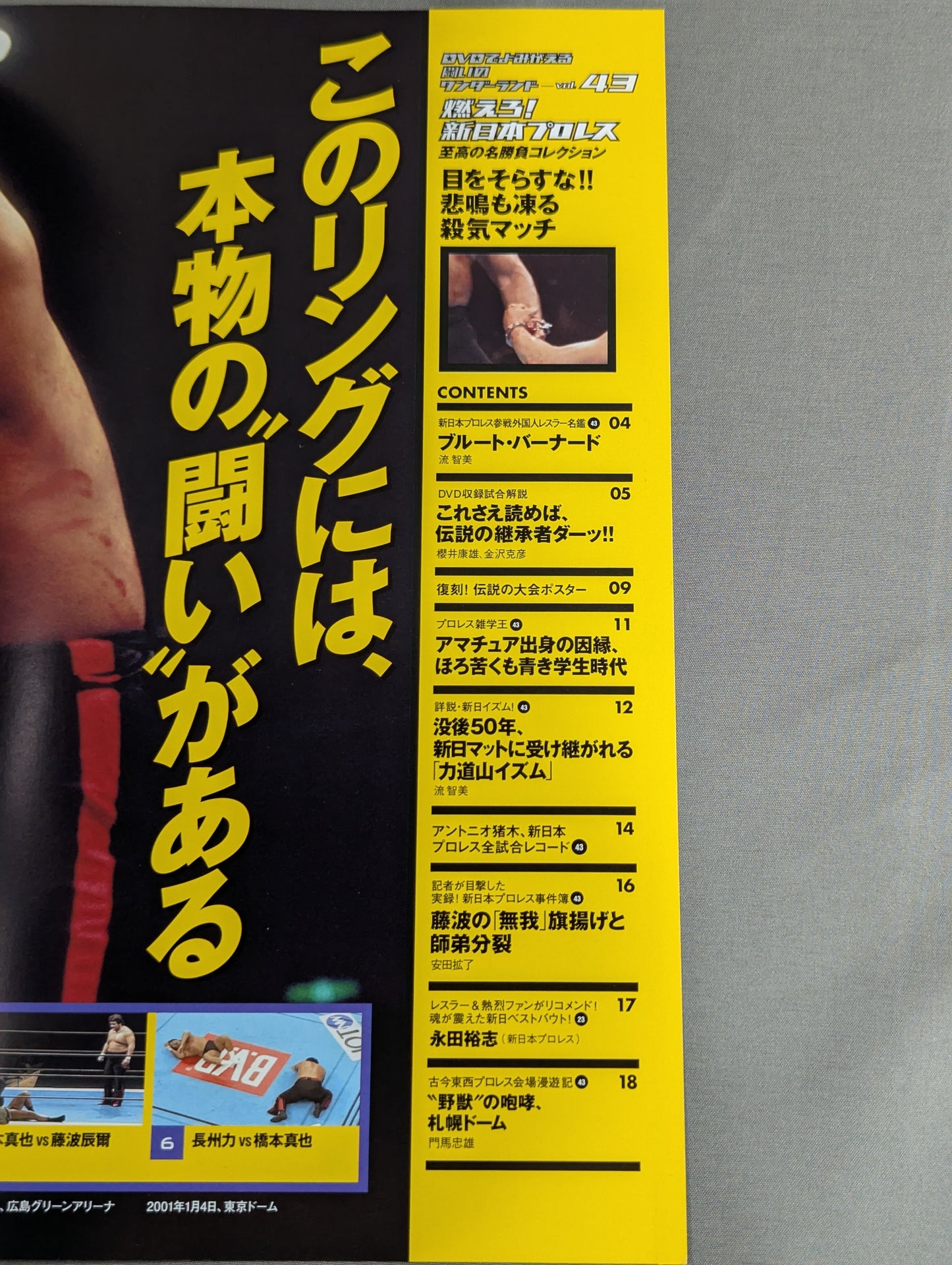 燃えろ!新日本プロレス vol.43