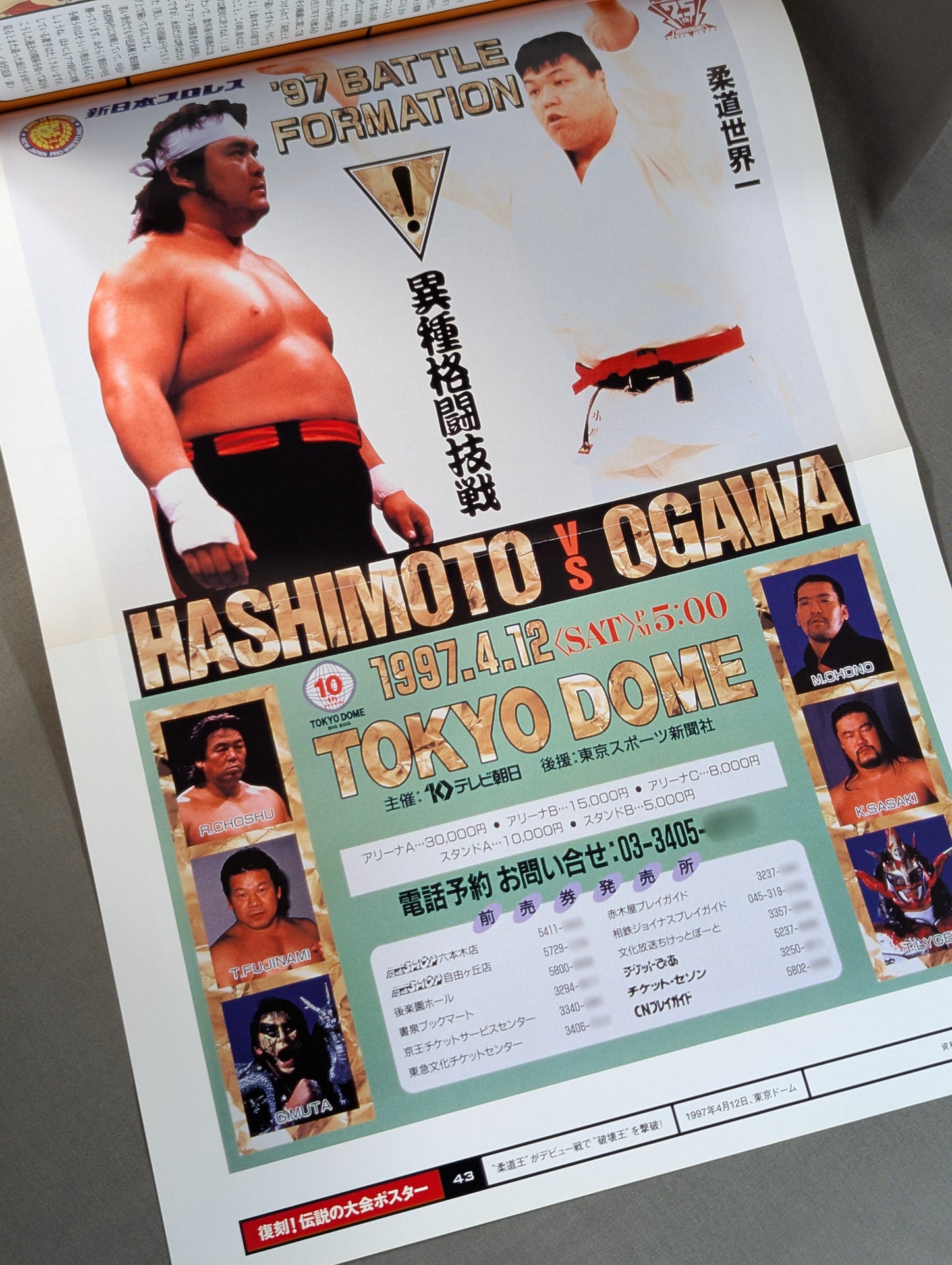 燃えろ!新日本プロレス vol.43