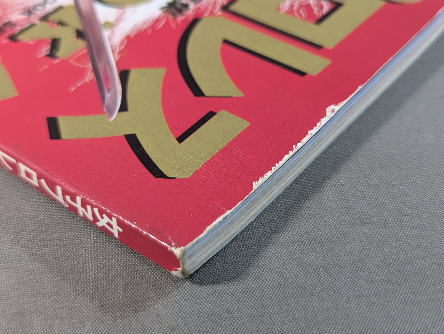 女子プロレス SUPER BOOK! 総力特集・北斗晶～メキシコ独占特写