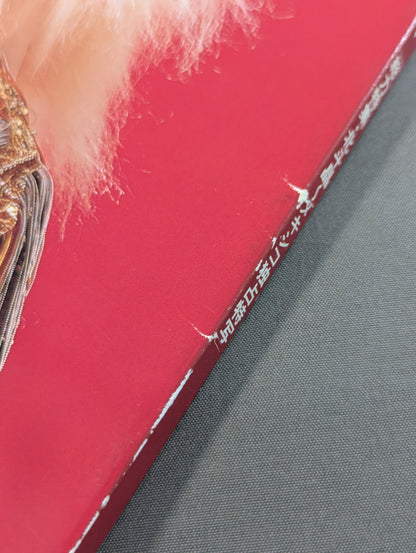 女子プロレス SUPER BOOK! 総力特集・北斗晶～メキシコ独占特写