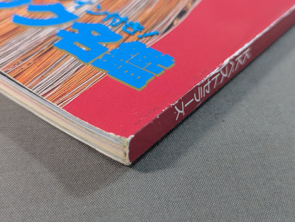 女子プロレス SUPER BOOK! 総力特集・北斗晶～メキシコ独占特写