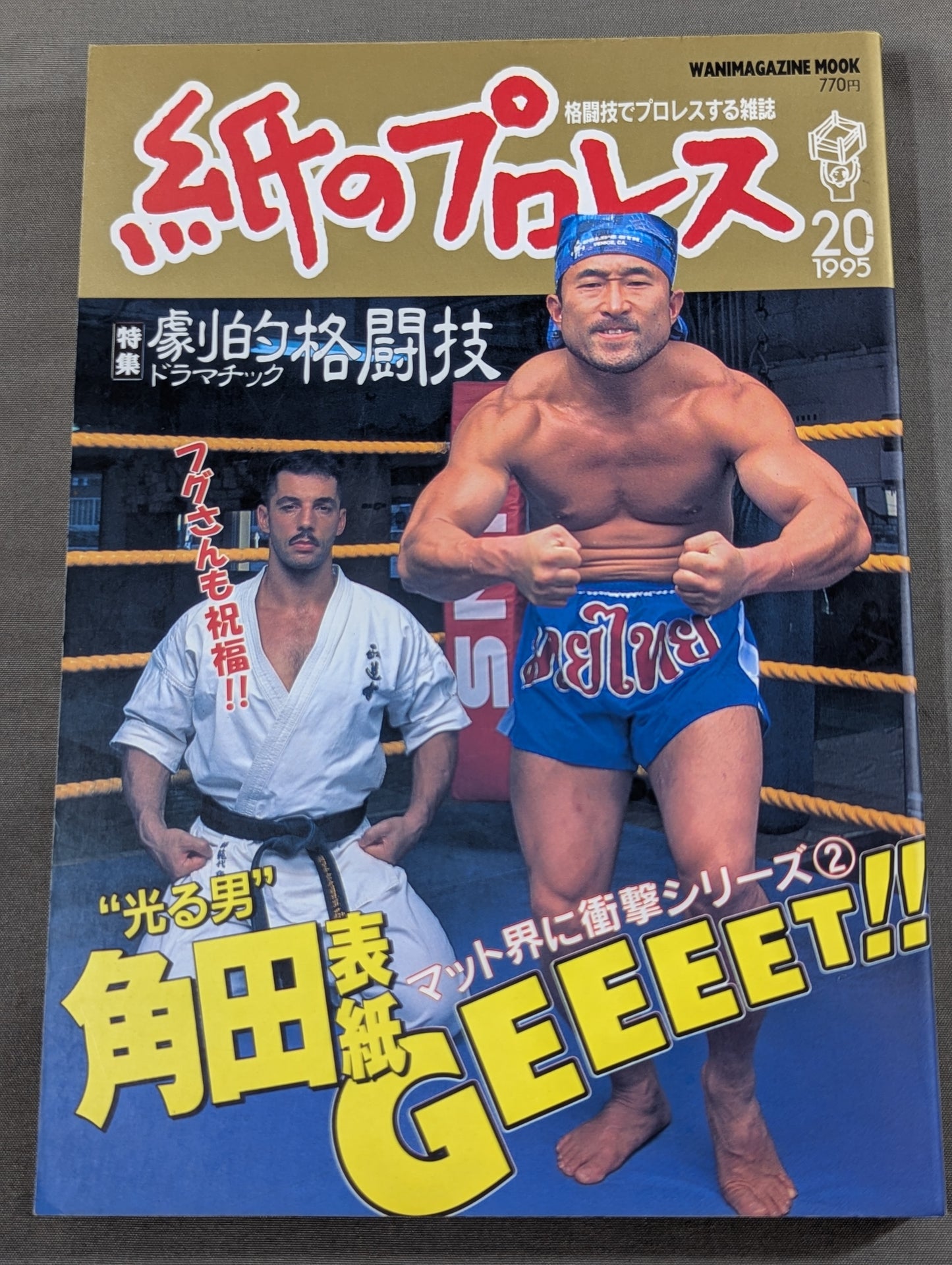 Paper Pro Wrestling 20