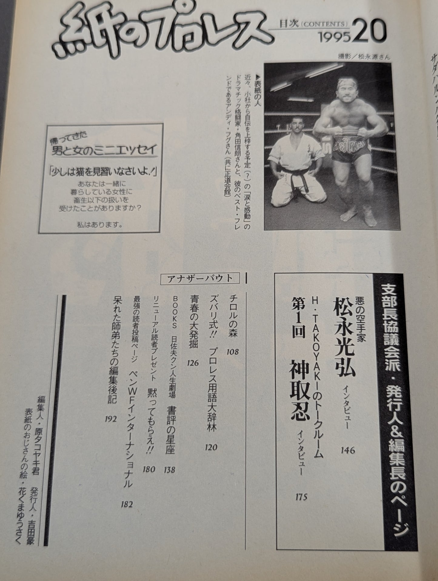 Paper Pro Wrestling 20