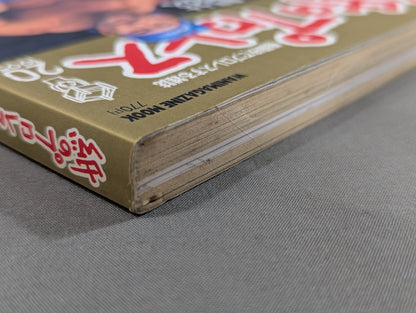 Paper Pro Wrestling 20