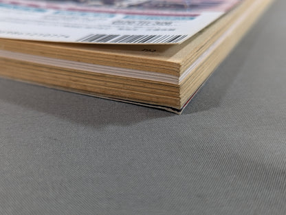 Paper Pro Wrestling 20