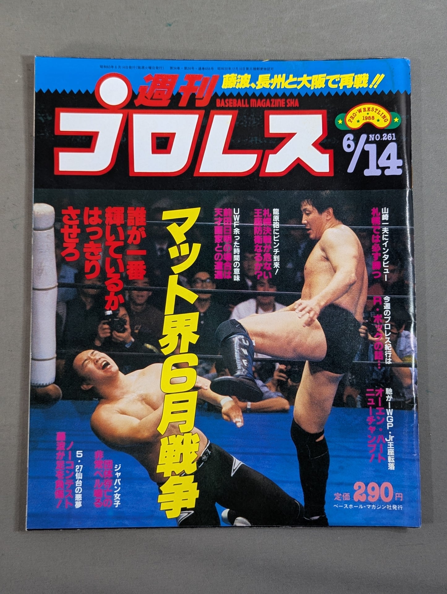 Weekly Pro Wrestling 261