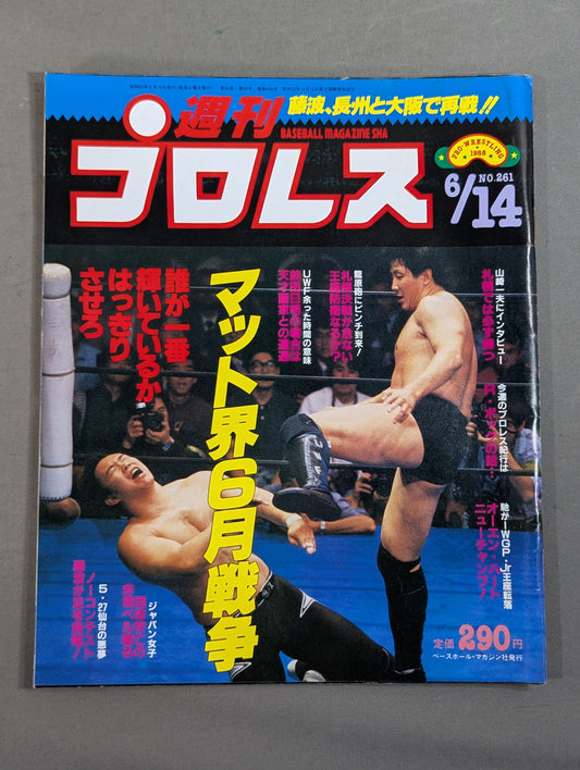 Weekly Pro Wrestling 261