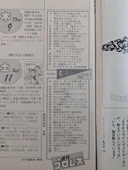 Weekly Pro Wrestling 261