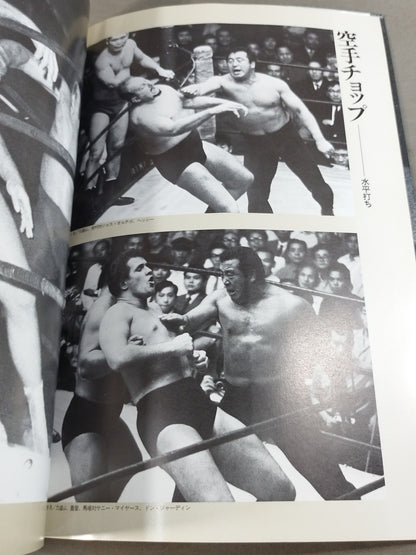 The Rikidozan  Hero Who Went Through the Ages Rikidozan Photo Collection