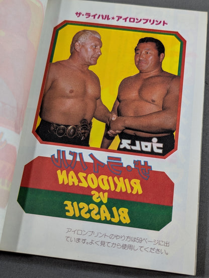 Pro Wrestling All Guidebook(3) Pro Wrestler Warrior of radical romance